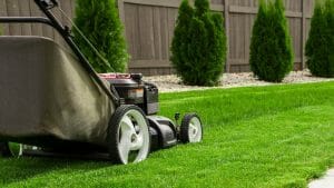 Lawn Service Costs
