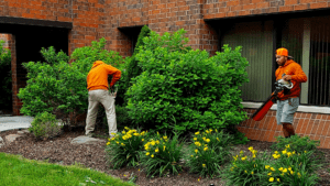 Can Commercial Landscaping Be Done in the Off-Season